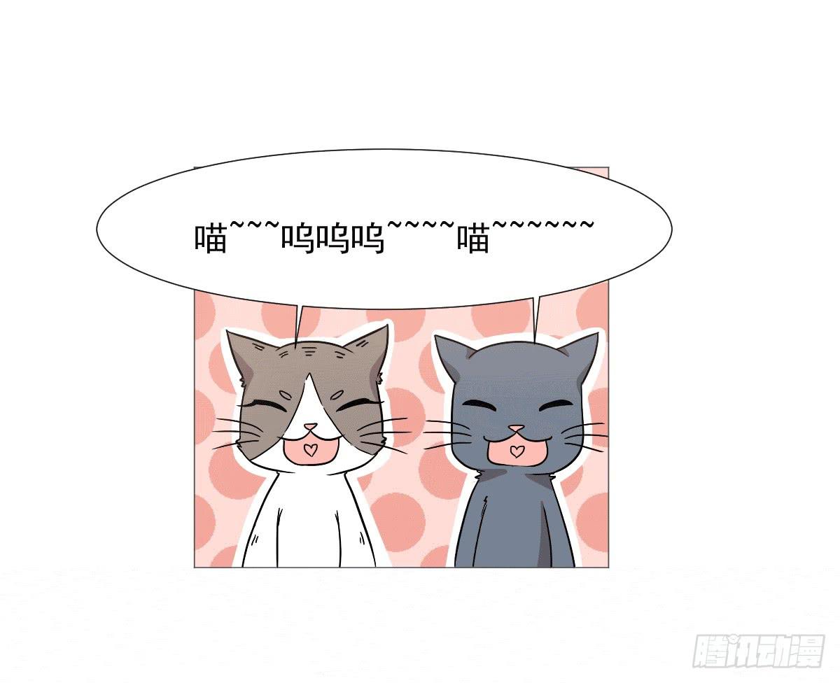 第038话41