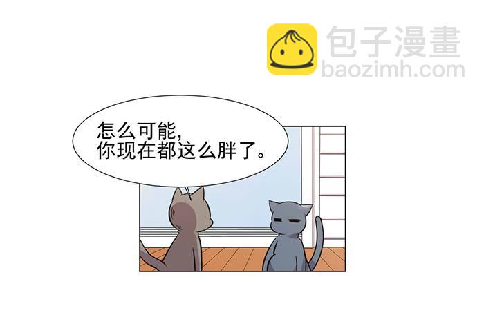 第041话58