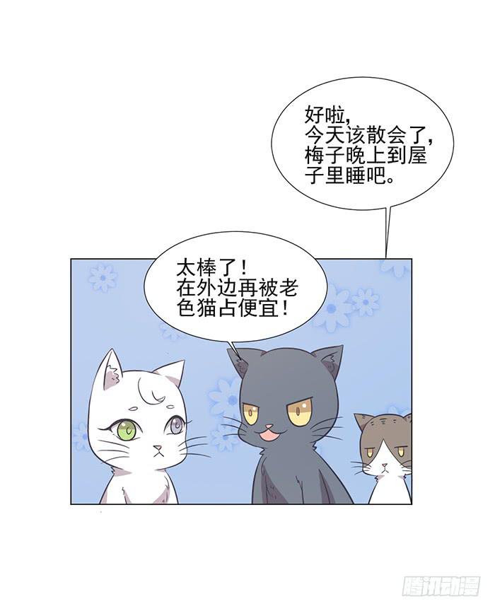 第042话10