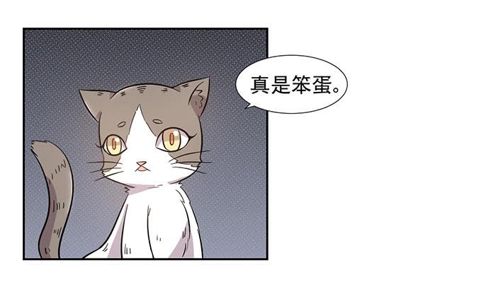 第025话13