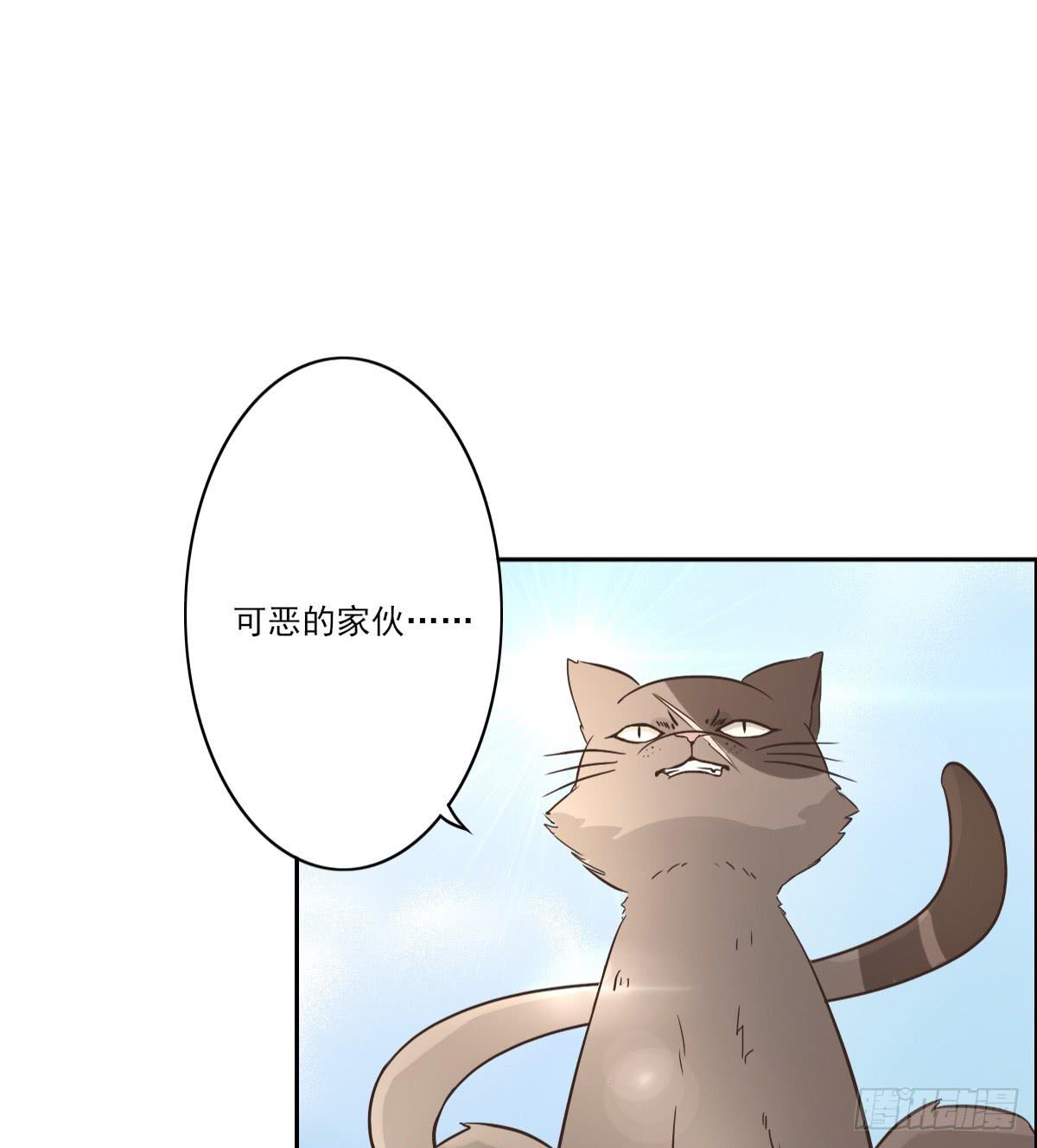 第001话52