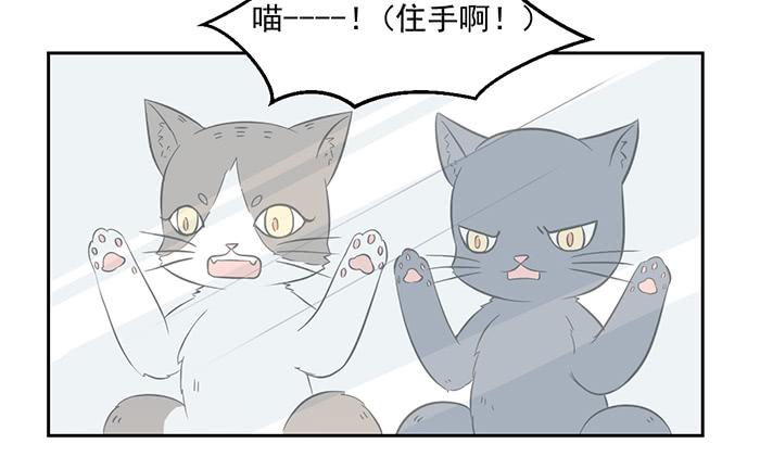 第022话12