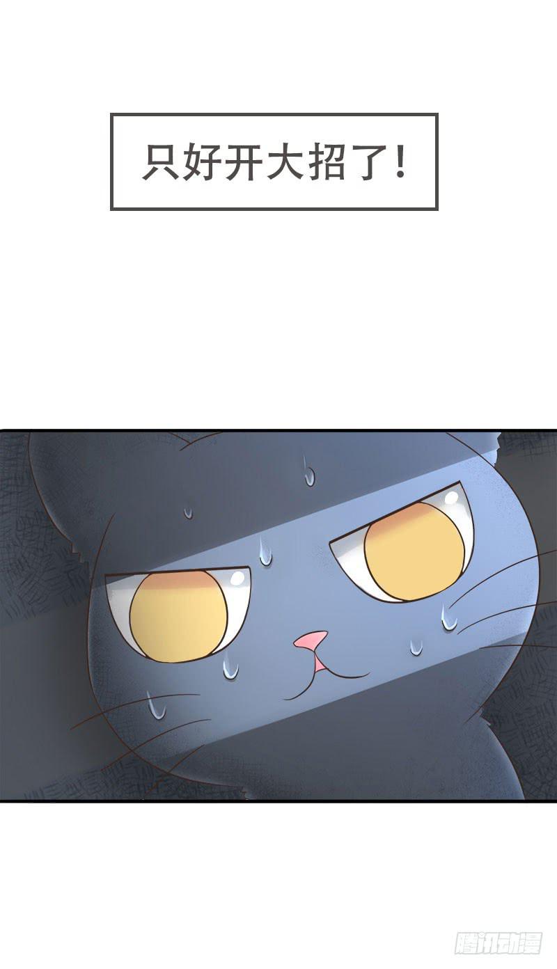 预告5