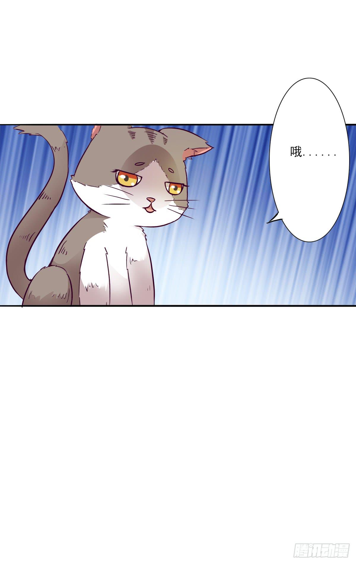 第003话13