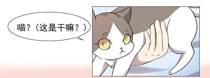 第037话67