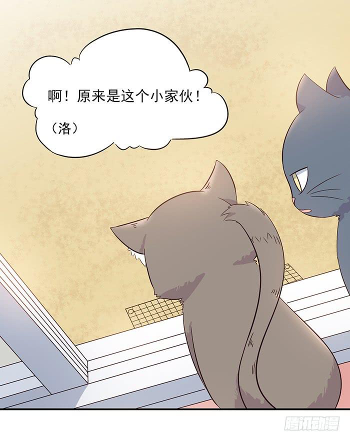 第013话4