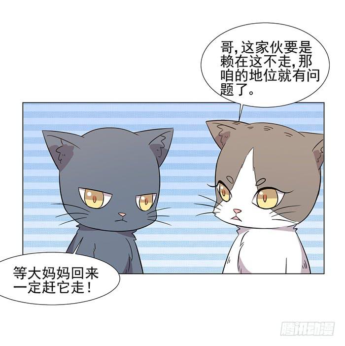 第041话38