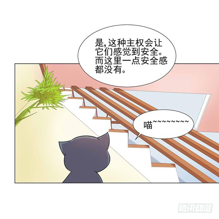 第040话29