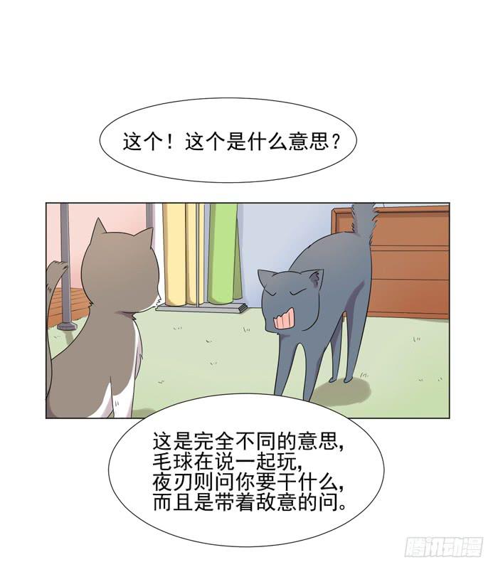 最终话34
