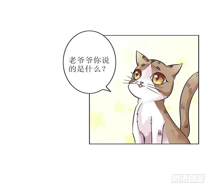 第008话17