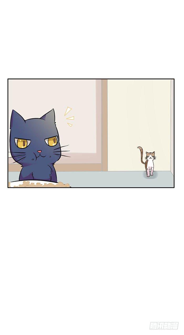 第006话3