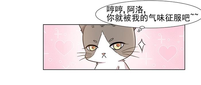 第030话25