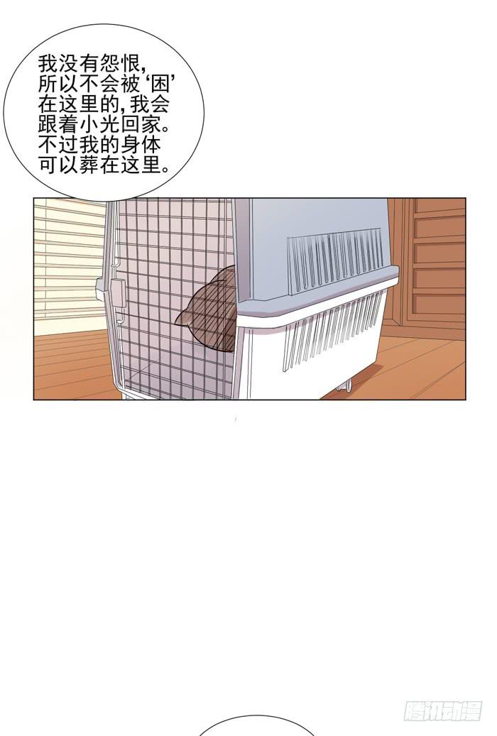 第044话54