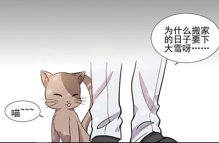 第024话13