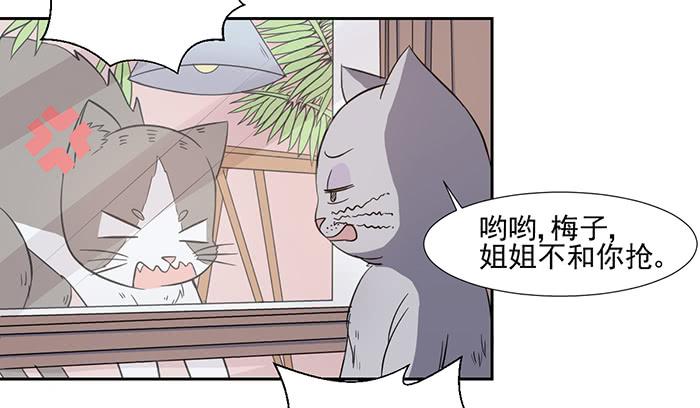 第026话17