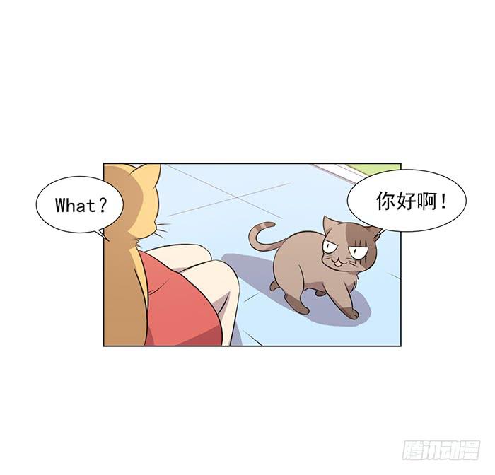 第042话19