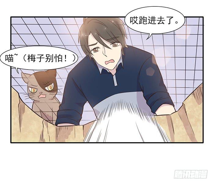 第013话8