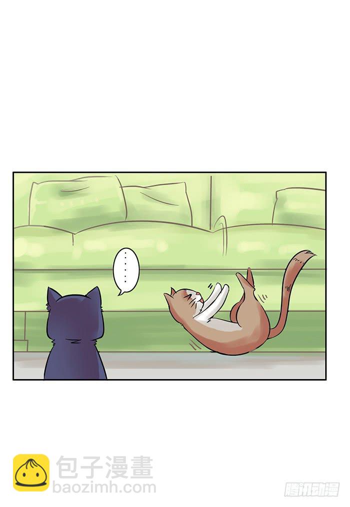 第005话24