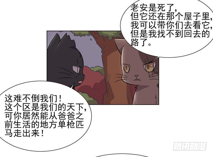 第042话54