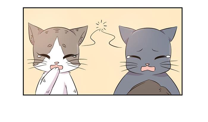 第019话6
