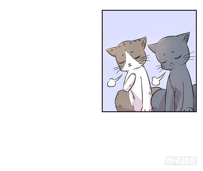 第022话37