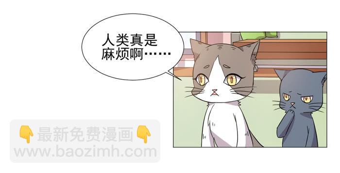 第036话36