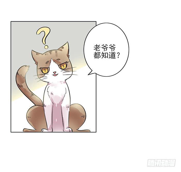 第008话11