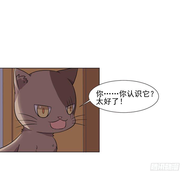 第042话49