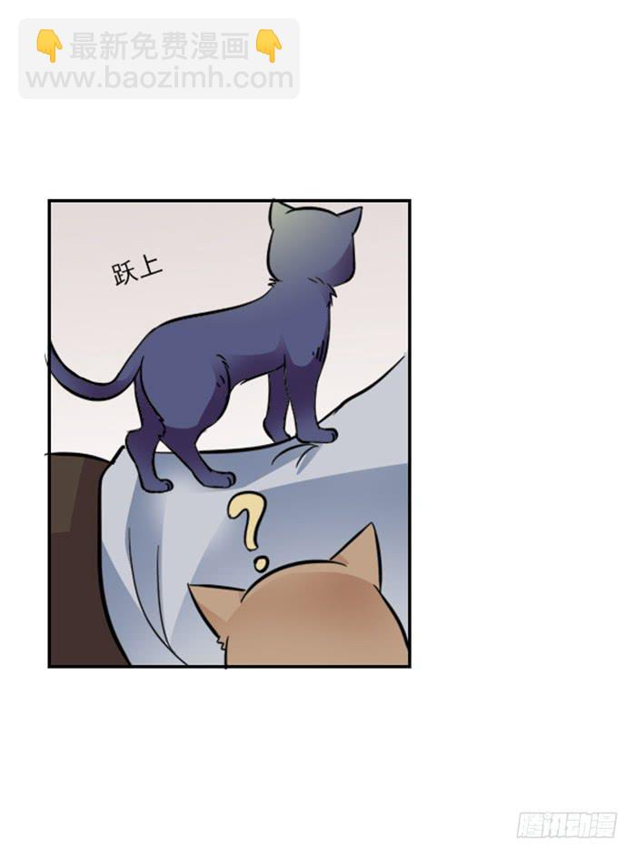 第009话22