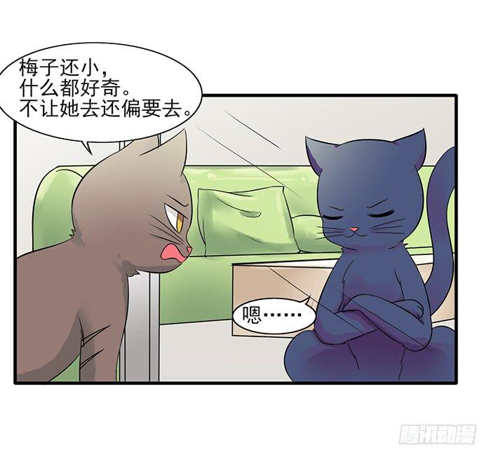 第011话11