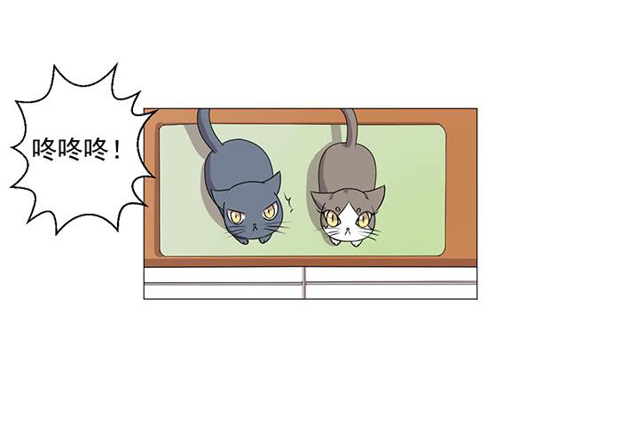 第038话21