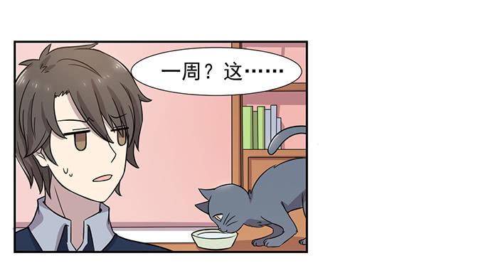 第029话17