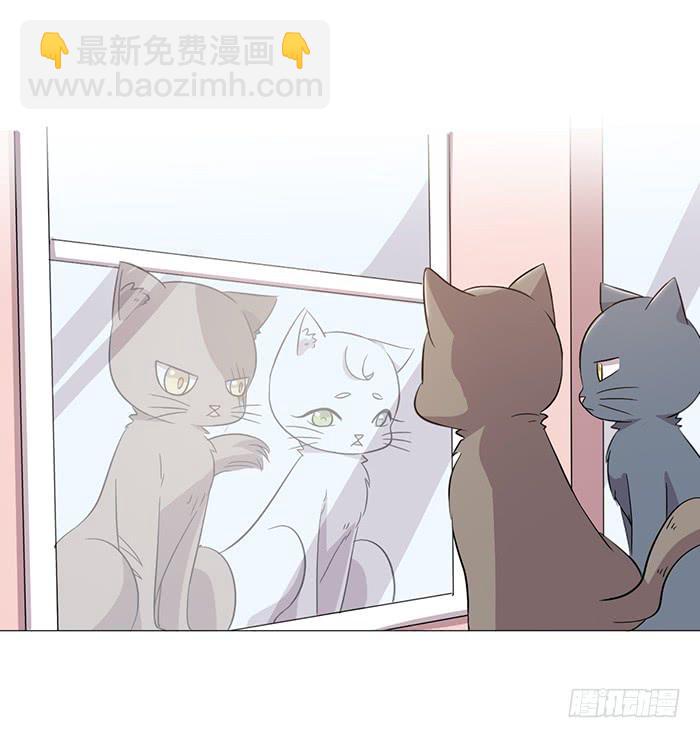 第040话17