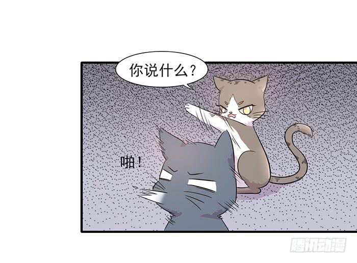 第013话15