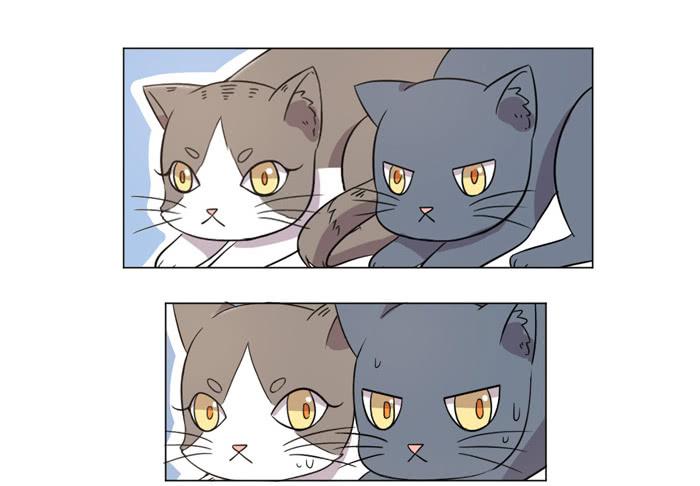 第040话55