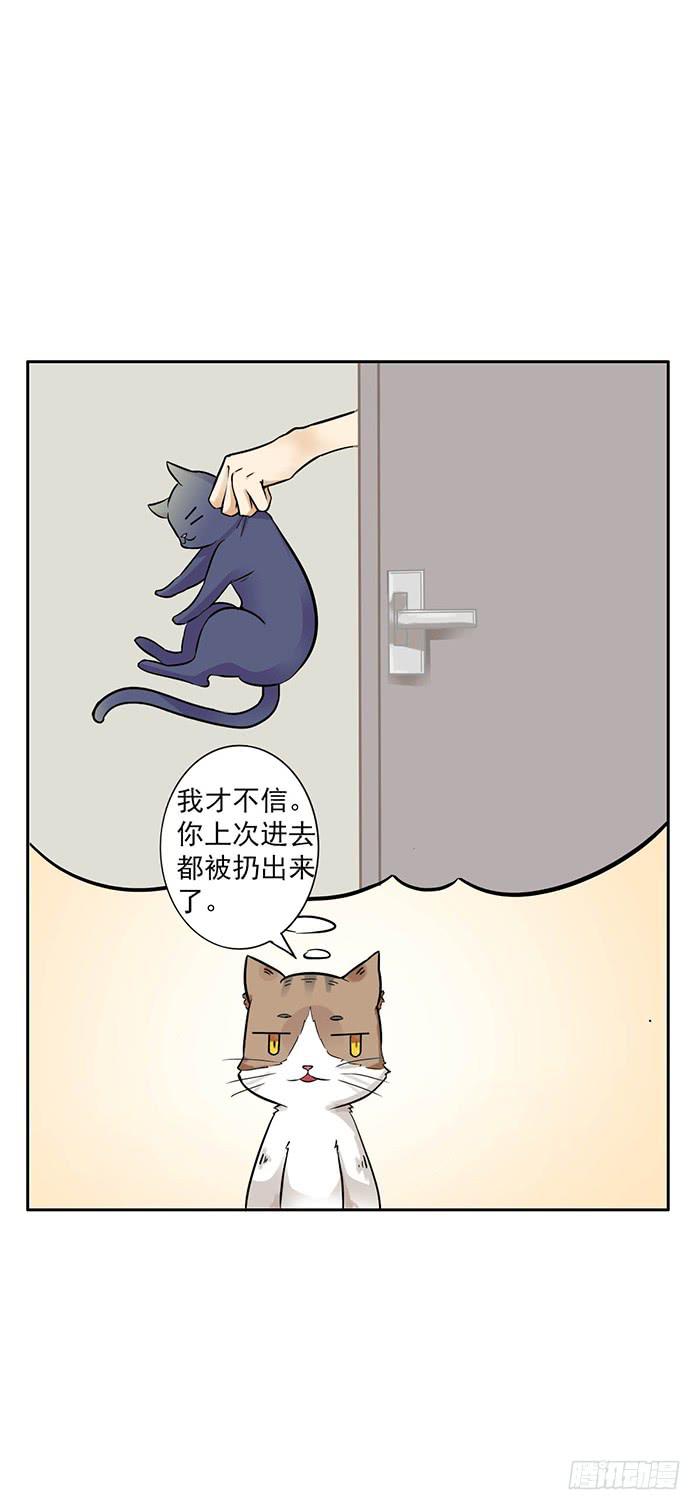 第006话6