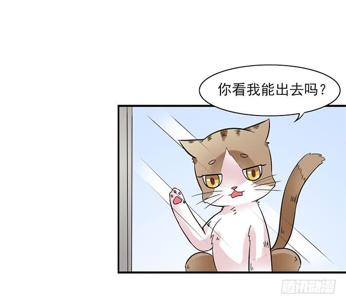 第011话5