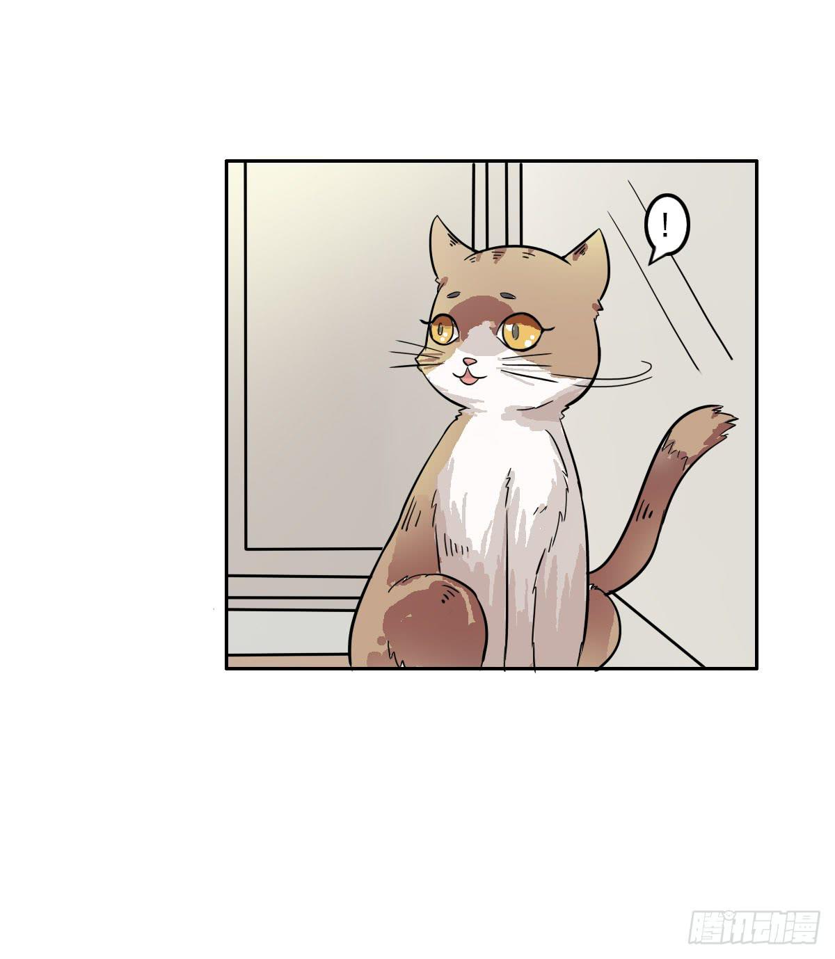 第004话19