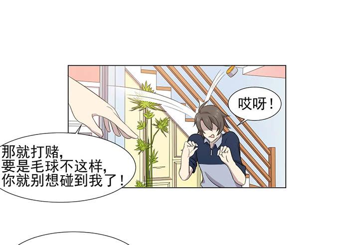 第041话56