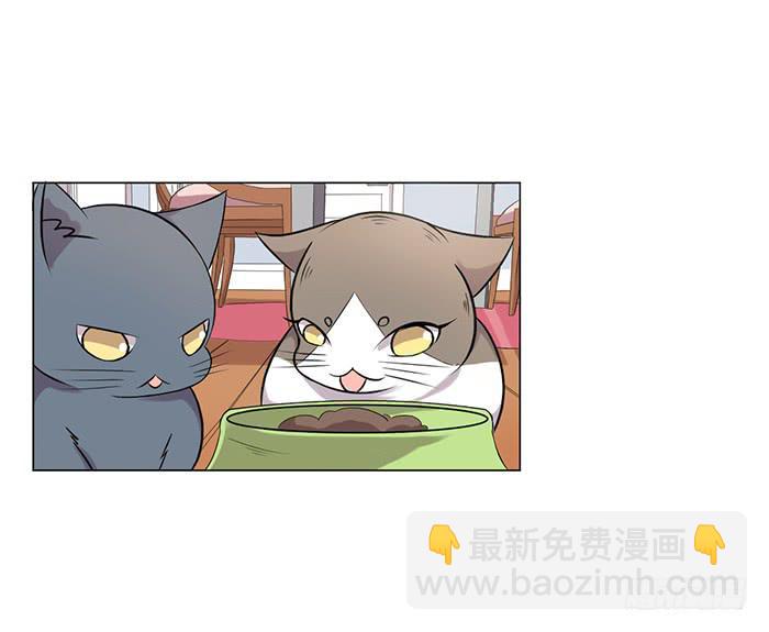 第041话66