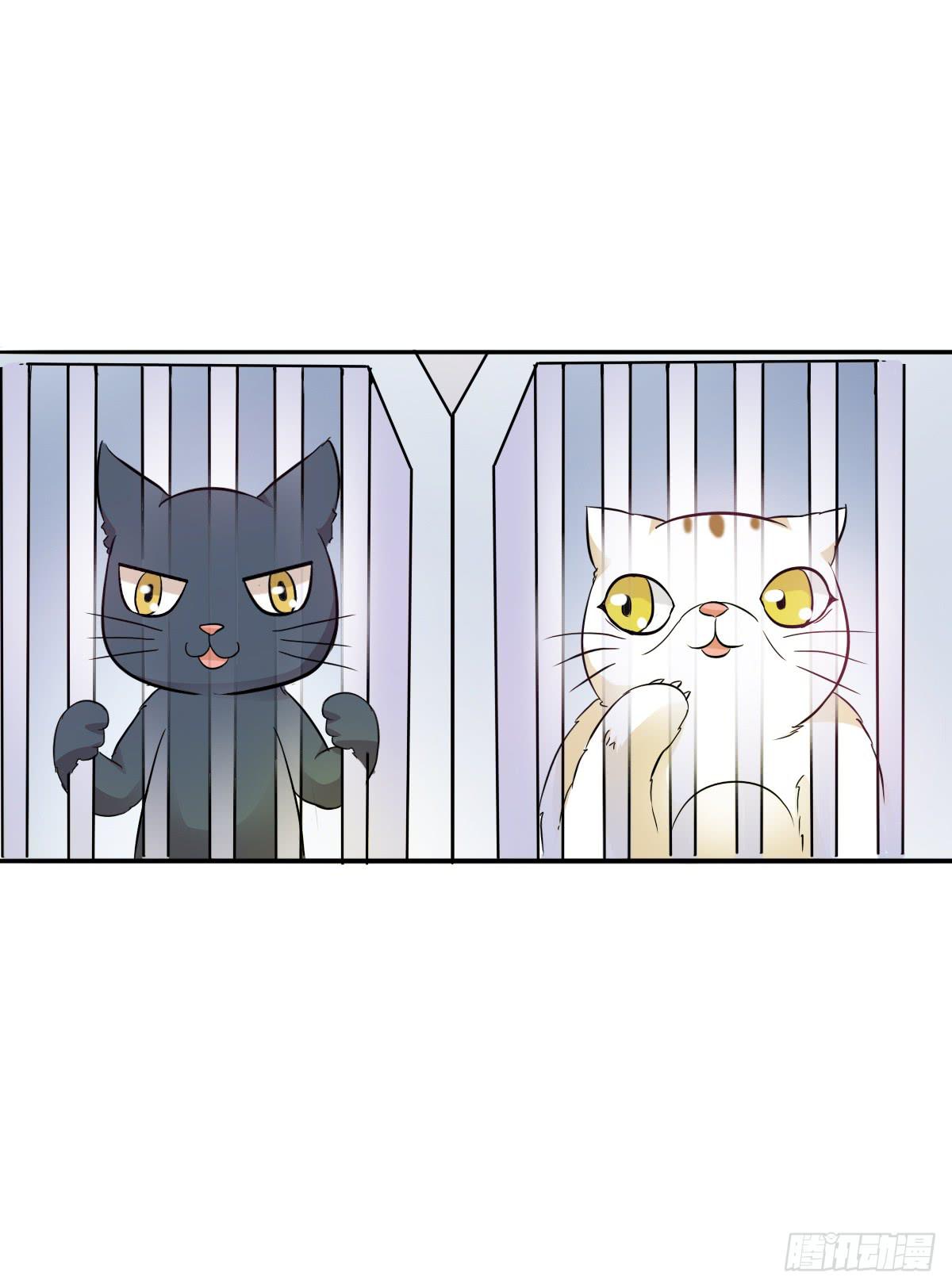 第003话17