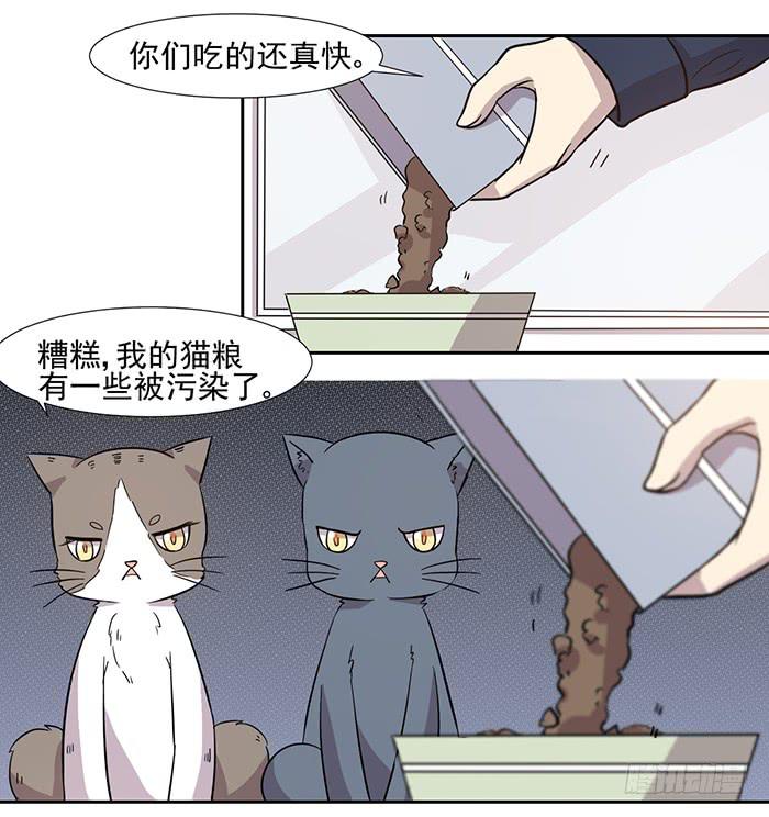 第028话11