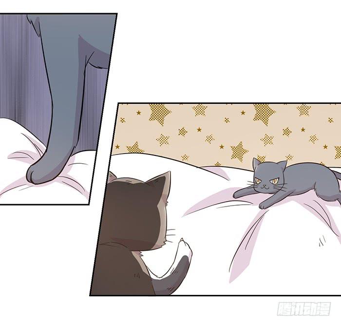 第019话16