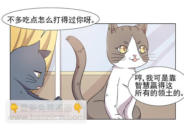 第031话13