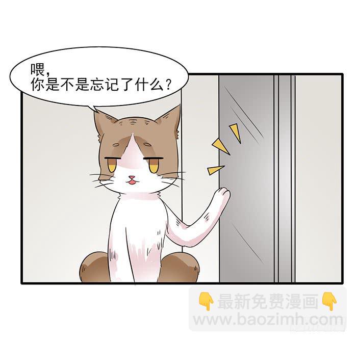 第011话13