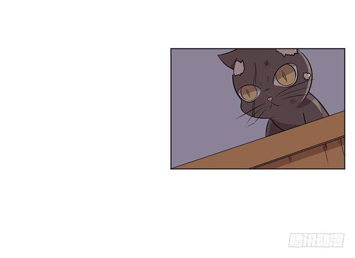 第042话27