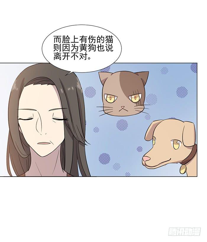 第040话15