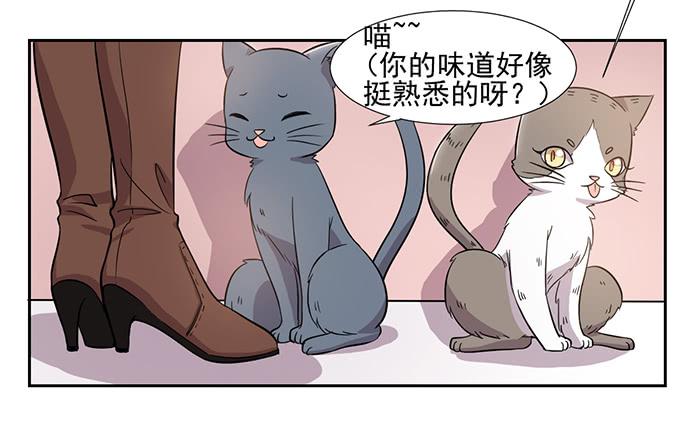 第025话8