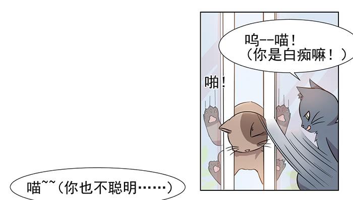 第030话16