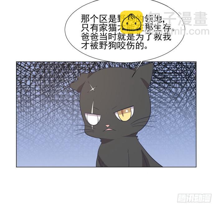 第042话55